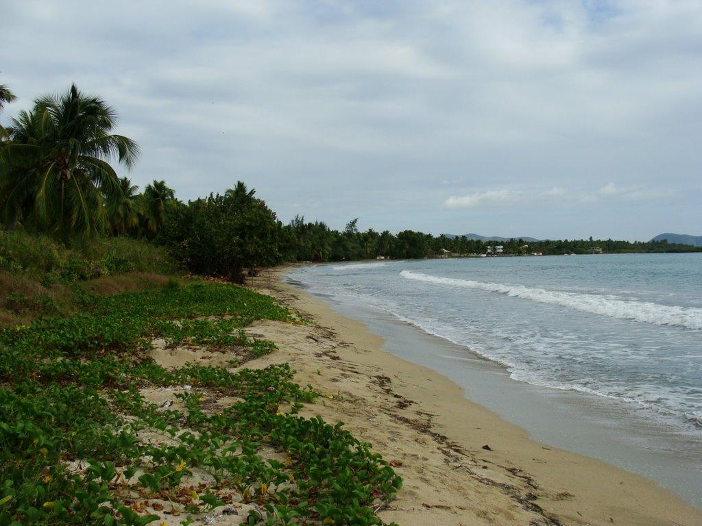 Sandee - Zanglais Beach