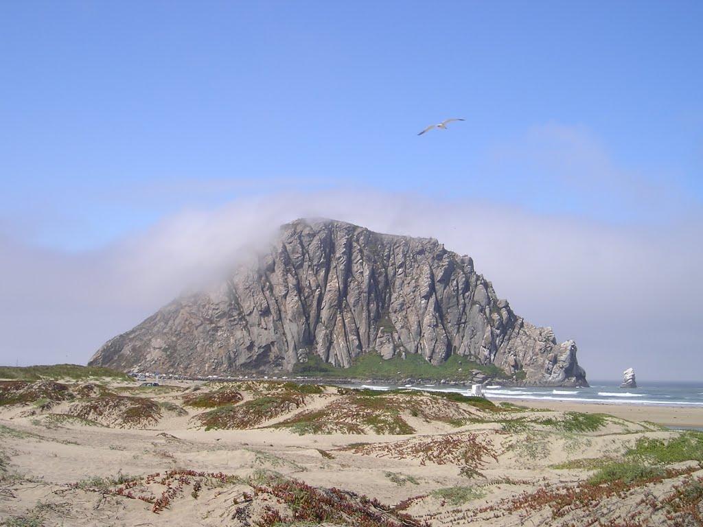 Sandee - S Morro Strand State Beach