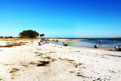 Sandee Honeymoon Island State Park Photo