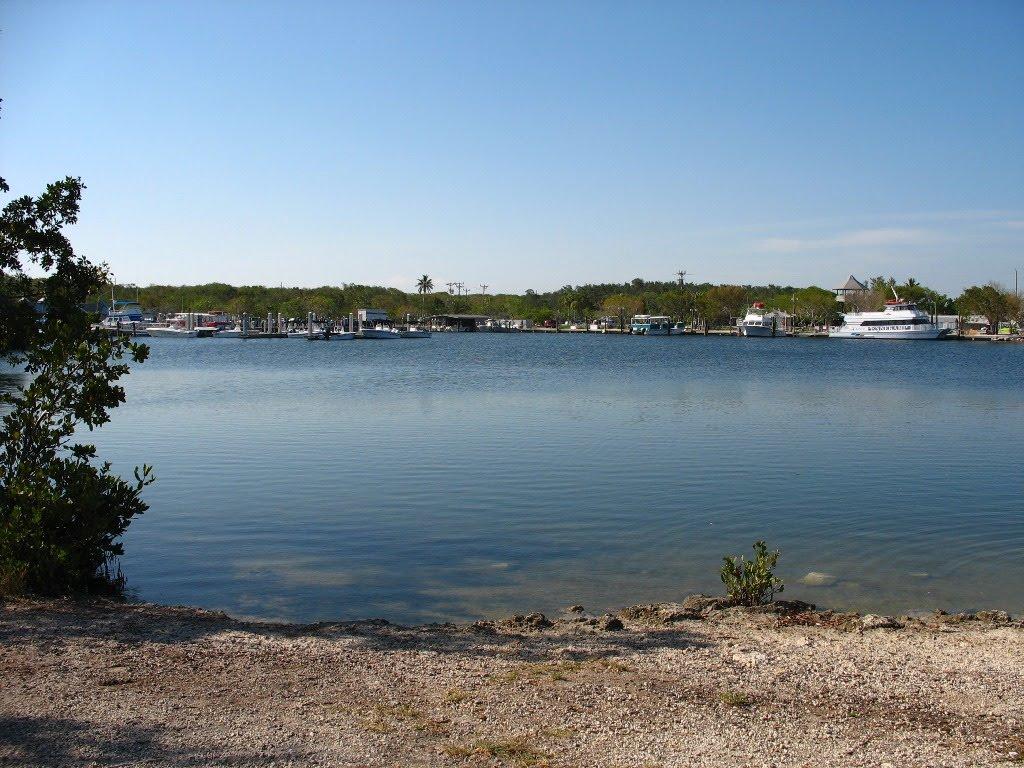 Sandee - John Pennekamp Coral Reef State Park