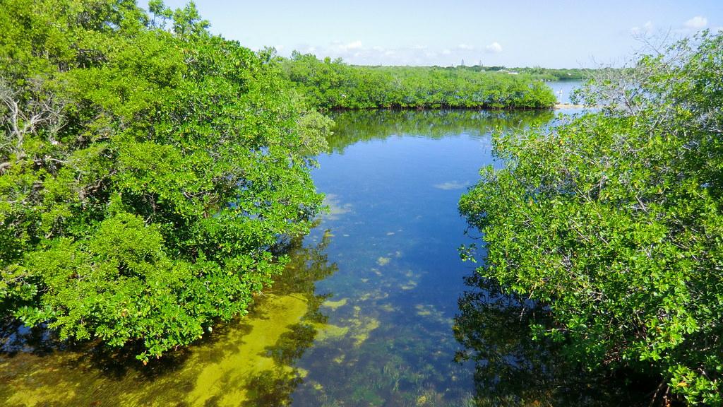 Sandee - John Pennekamp Coral Reef State Park