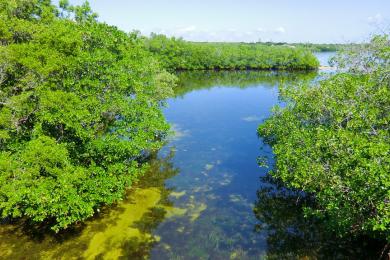 Sandee - John Pennekamp Coral Reef State Park