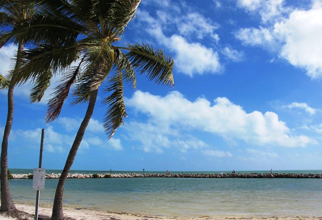 Sandee Harry Harris Beach Park Photo