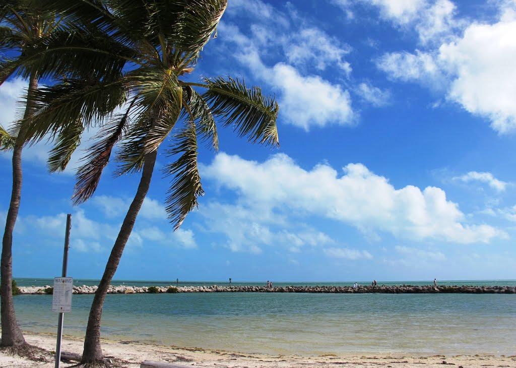 Sandee - Harry Harris Beach Park