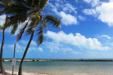 Sandee - Harry Harris Beach Park