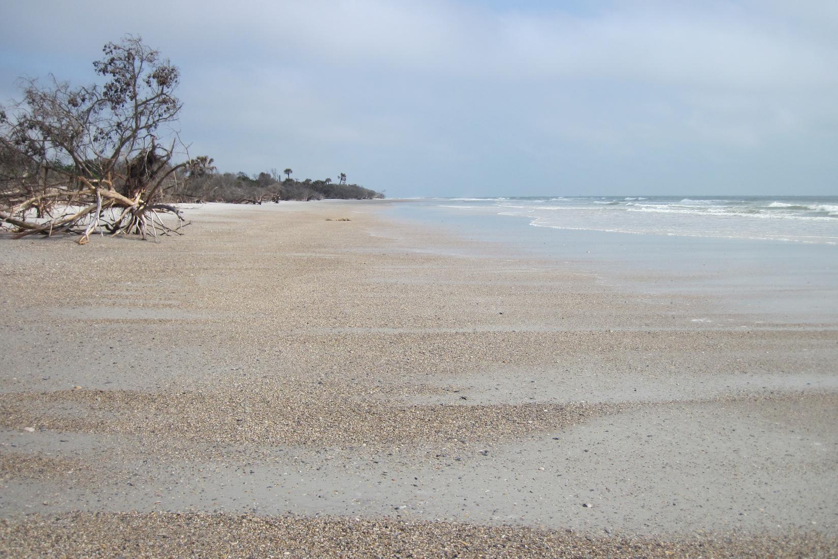 Sandee - Little Talbot Island State Park