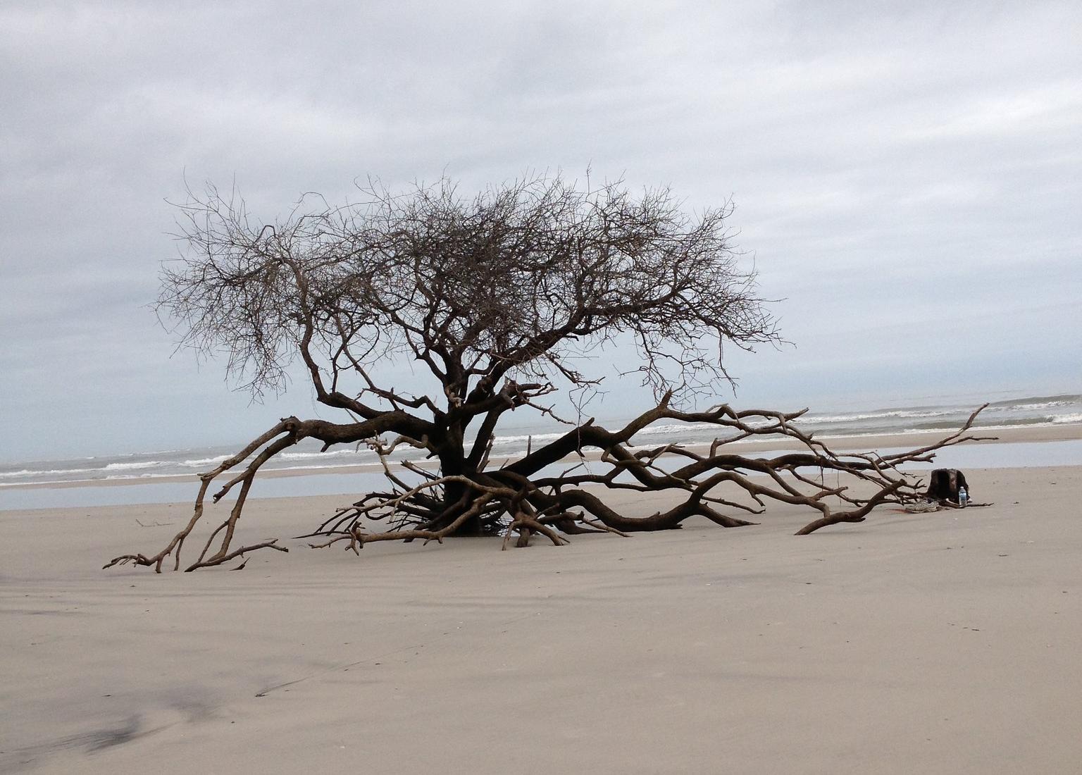 Sandee - Little Talbot Island State Park