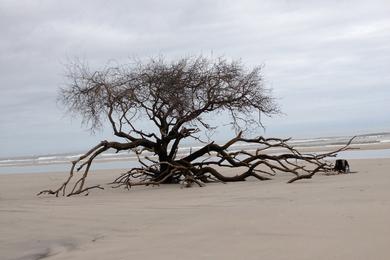 Sandee - Little Talbot Island State Park