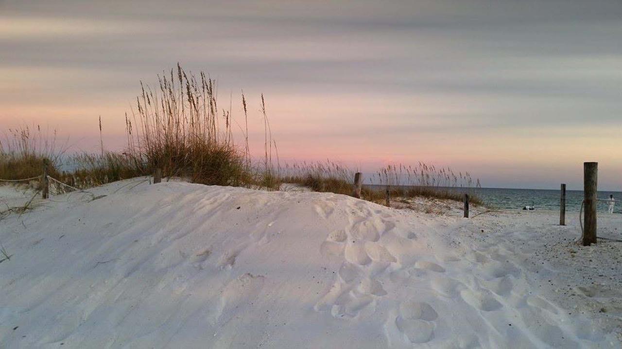 Sandee - Johnson's Beach