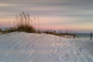 Sandee - Johnson's Beach