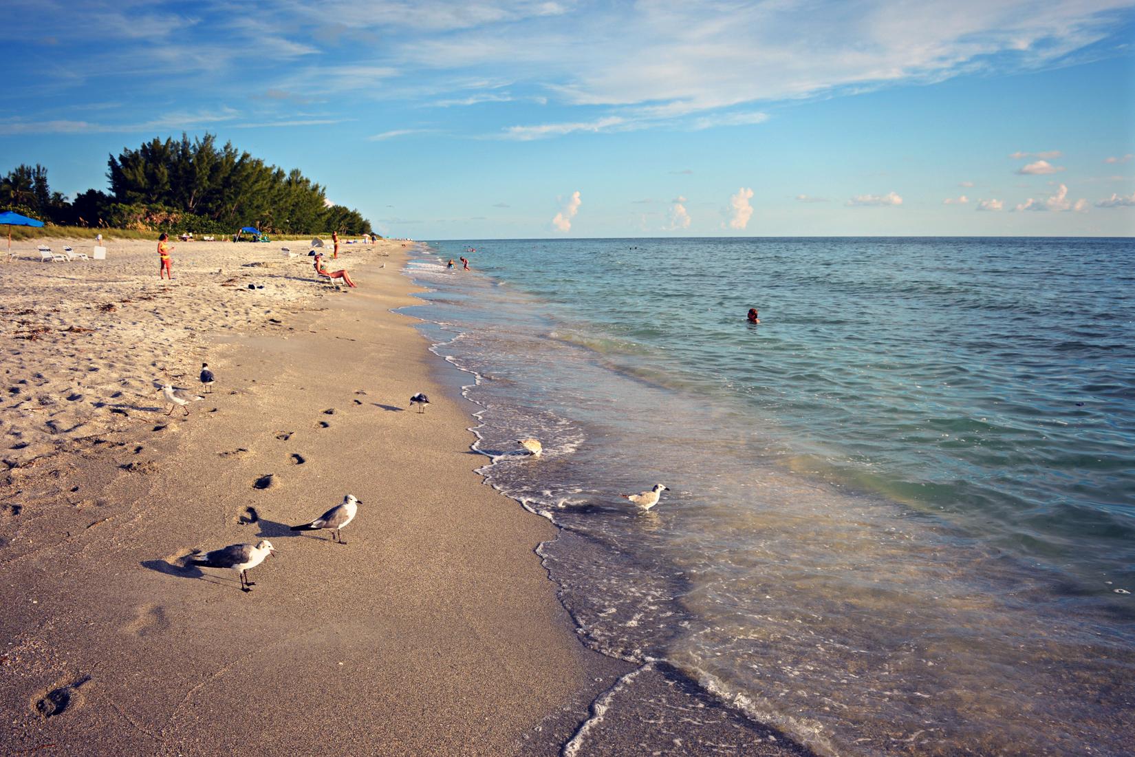 Sandee - Captiva Beach