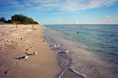 Sandee - Captiva Beach