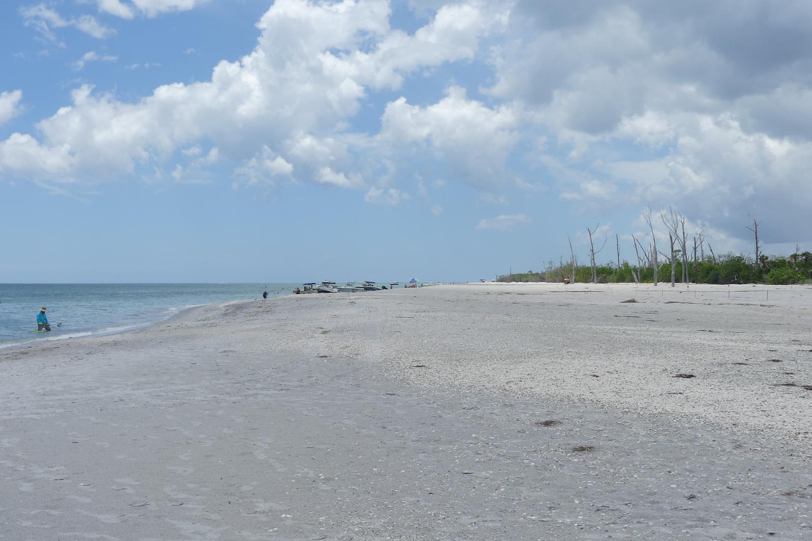 Sandee - Englewood Beach