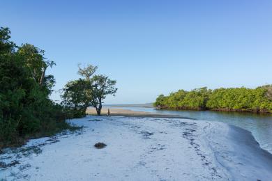 Sandee - Bunche Beach Preserve