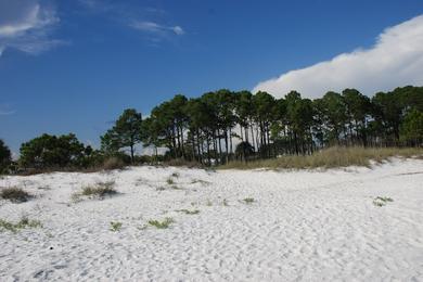 Sandee - Carraballe Beach