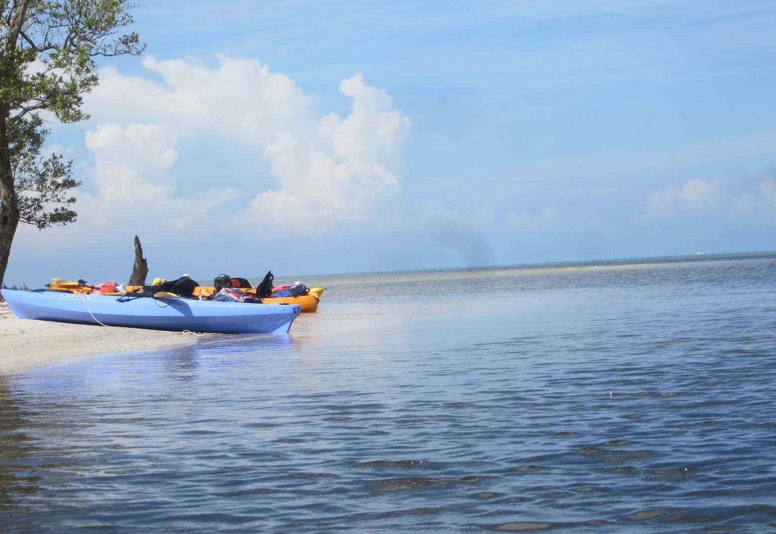 Sandee - Bunche Beach Preserve