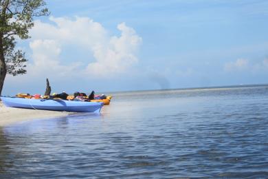 Sandee - Bunche Beach Preserve