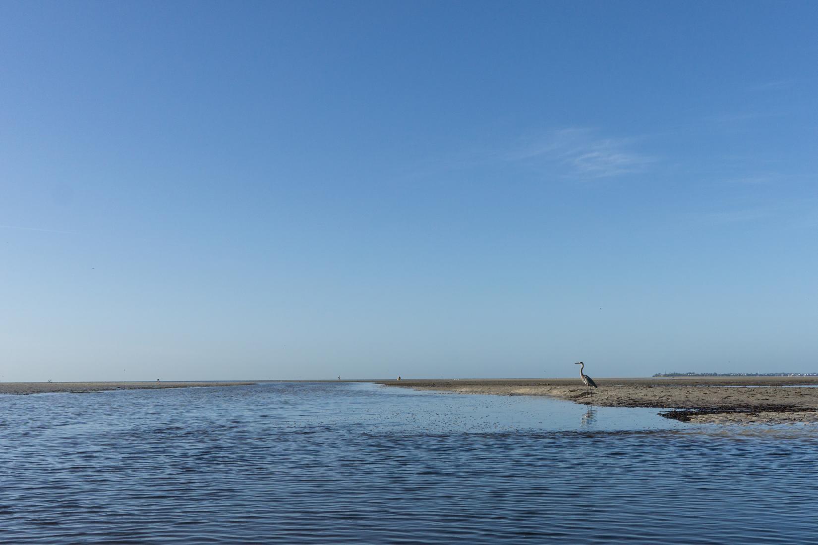 Sandee - Bunche Beach Preserve