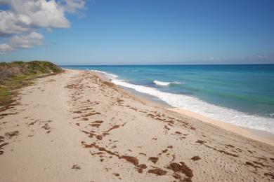 Sandee - Lake Worth Beach