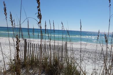 Sandee - Grayton Beach