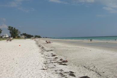 Sandee Manatee Public Beach Photo