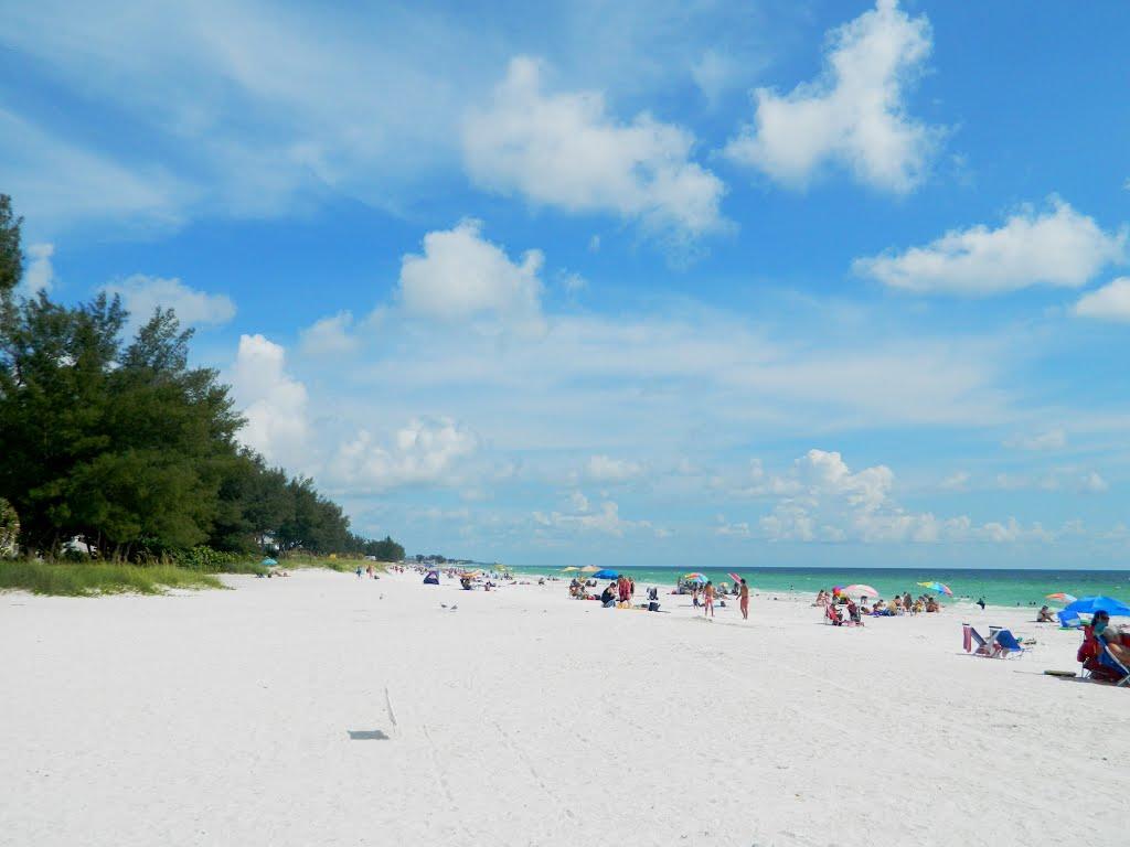 Sandee - Manatee Public Beach