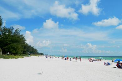 Sandee - Manatee Public Beach