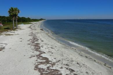 Sandee Fort Desoto East Beach Photo