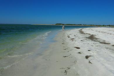 Sandee - Fort Desoto East Beach