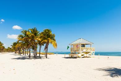 Sandee Crandon Park Beach Photo