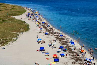 Sandee Crandon Park Beach Photo