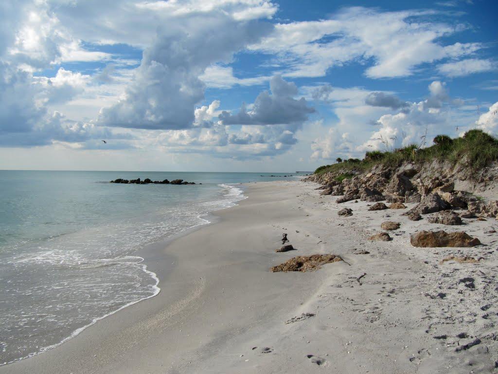 These beauties are beachcombed by the vendor from the beaches where they  wash ashore after bein…