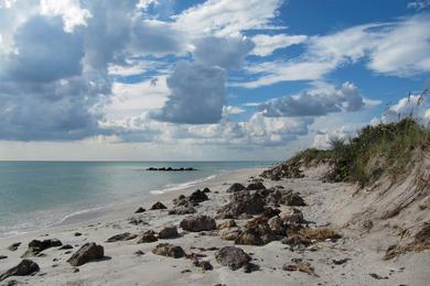 Sandee - Caspersen Beach