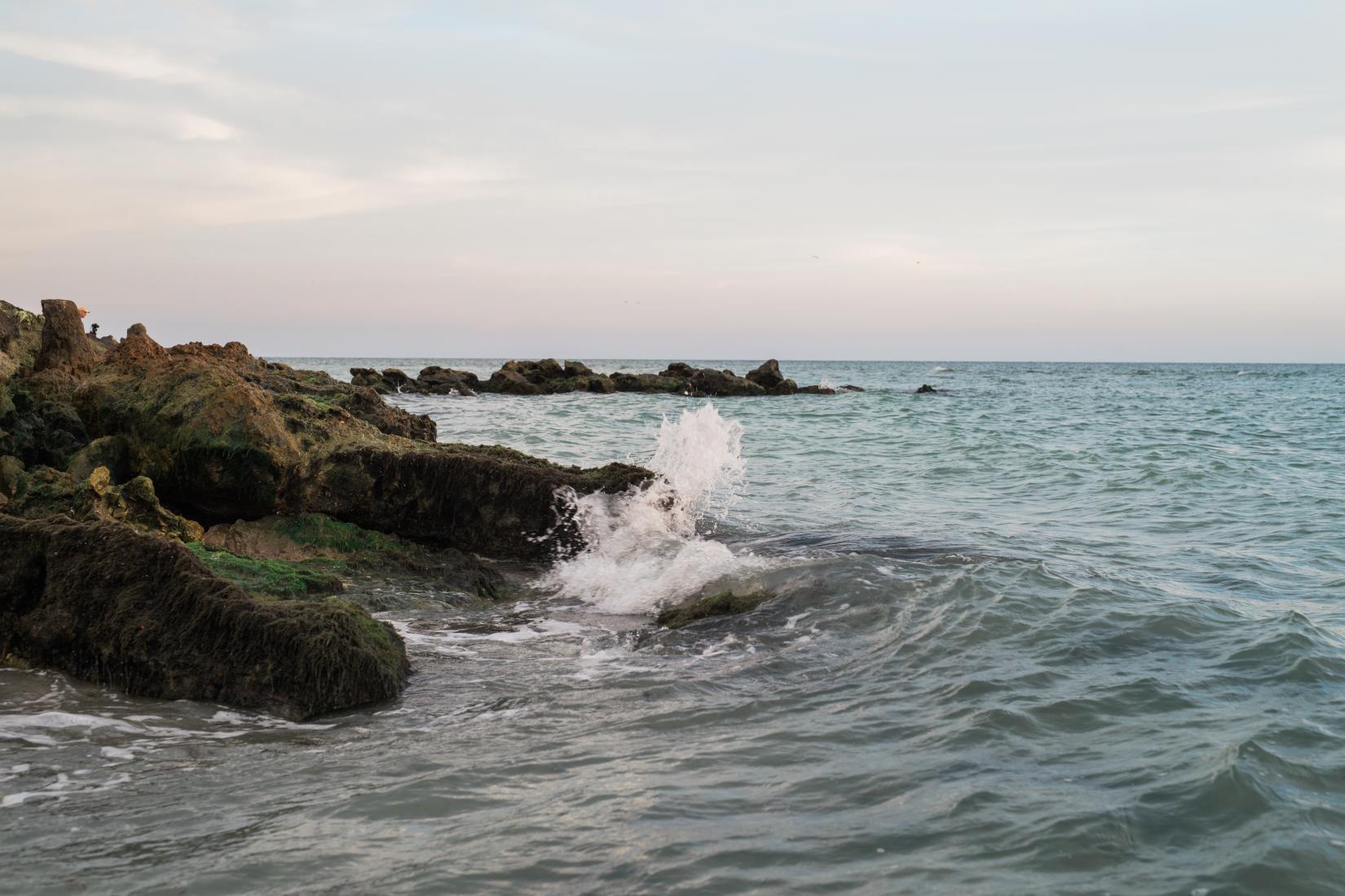 Sandee - Caspersen Beach