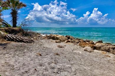 Sandee - Caspersen Beach