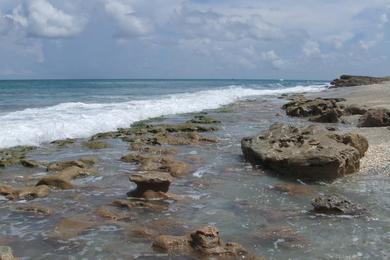 Sandee Fletcher Beach Photo