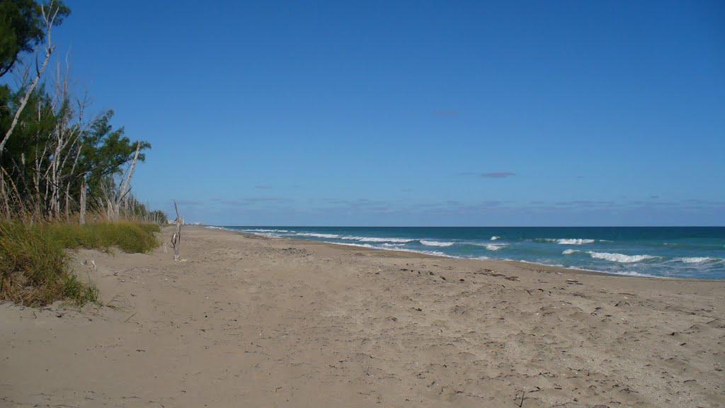 Sandee - Middle Cove Beach