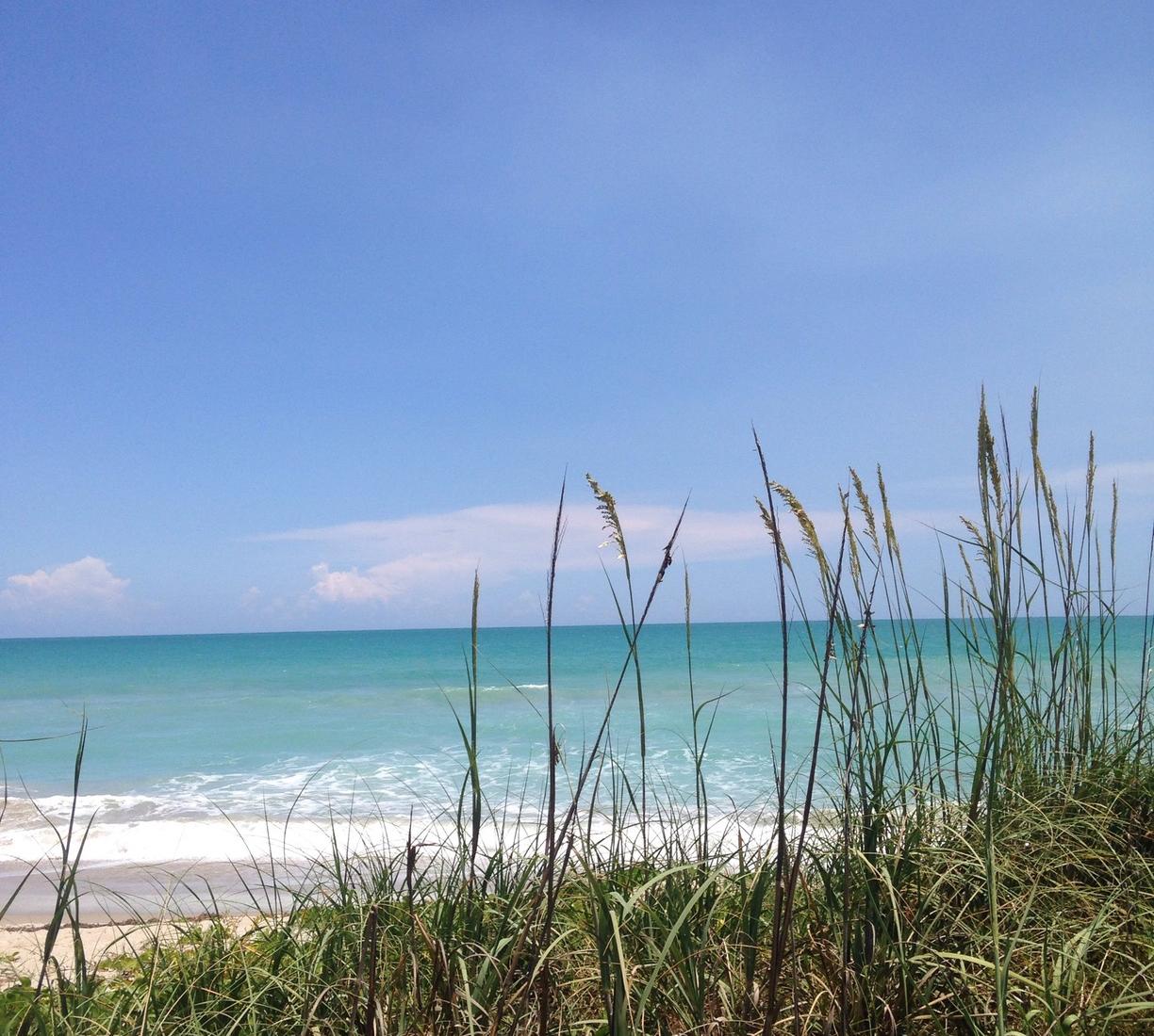 Sandee - Hermans Bay Beach