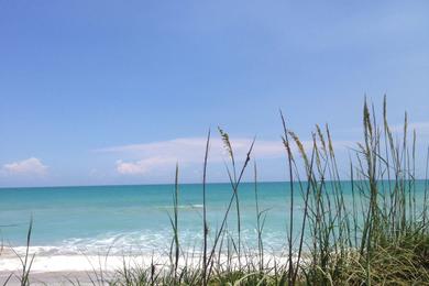 Sandee - Hermans Bay Beach