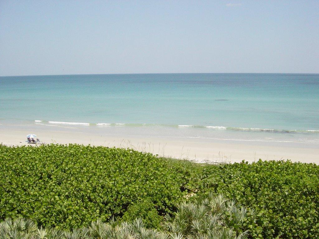 Sandee - Hermans Bay Beach