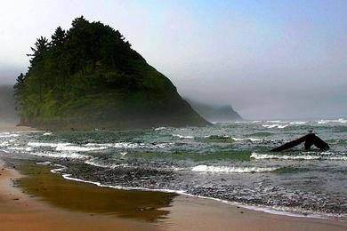 Sandee - Neskowin Beach