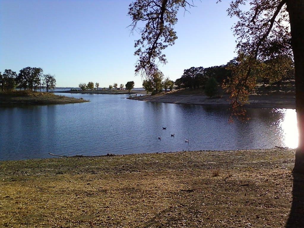 Sandee - Camanche Southshore Recreation Area