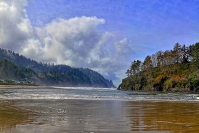 Sandee - Neskowin Beach