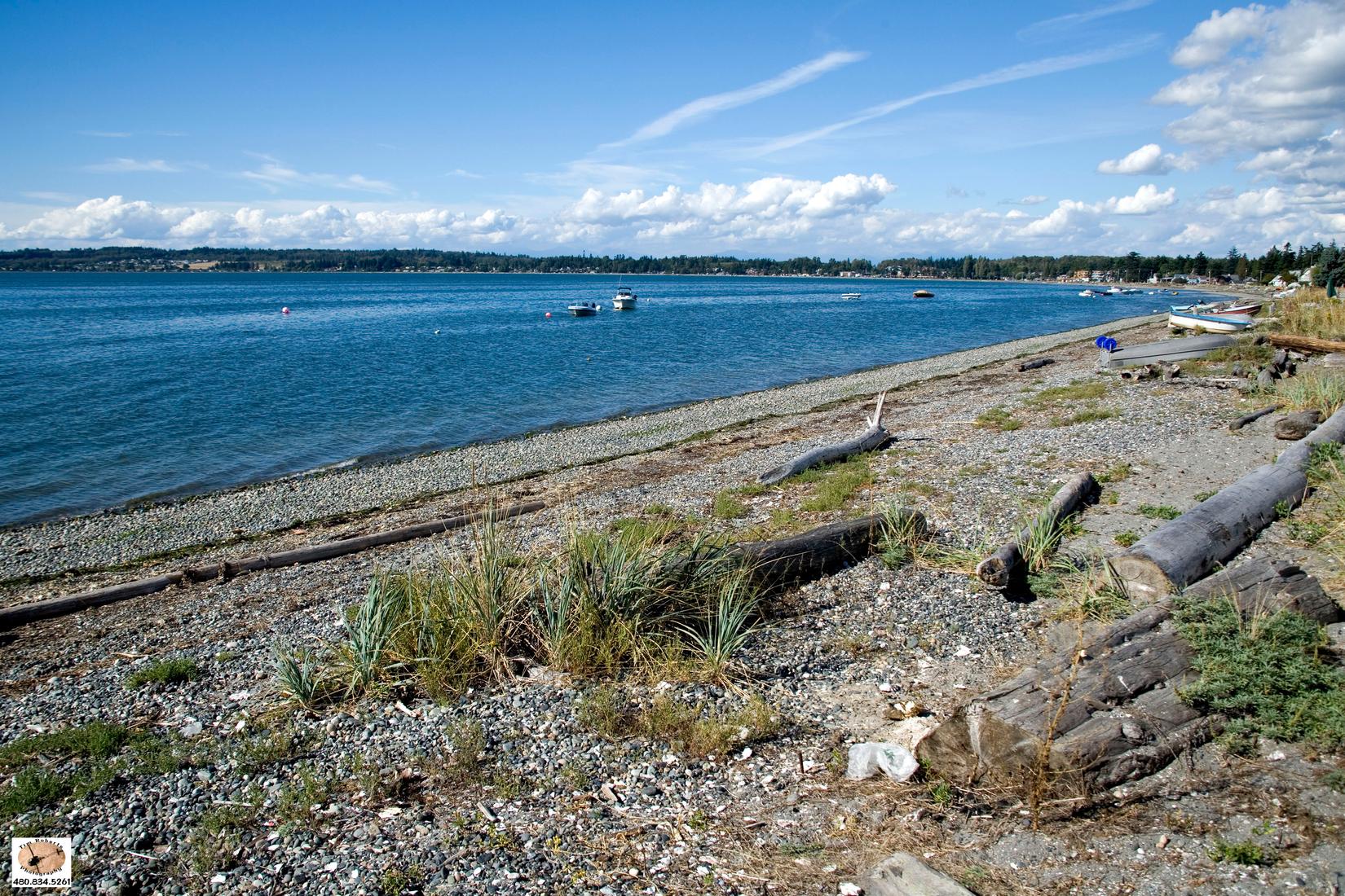 Birch Bay Photo - Sandee