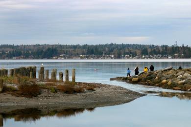 Sandee Birch Bay Beach