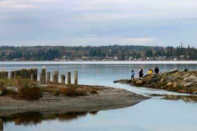 Sandee Birch Bay Beach Photo