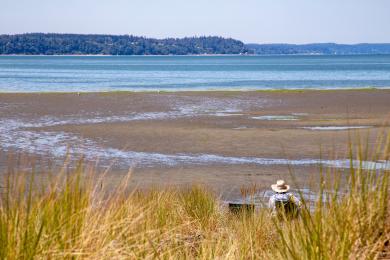 Sandee Jetty Island Photo