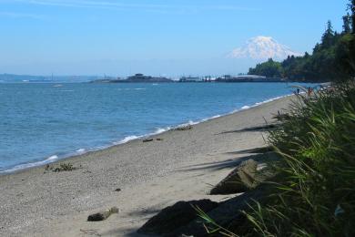 Sandee Owen Beach / Point Defiance Park Photo