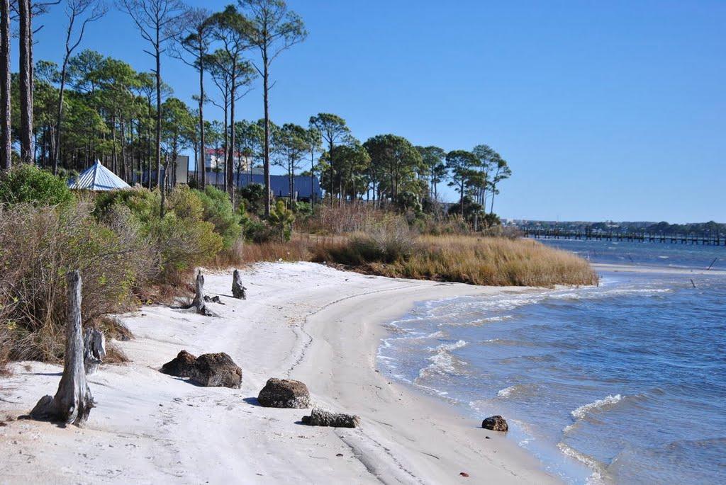 Sandee - Liza Jackson Park Beach