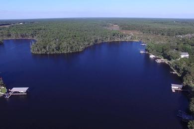Sandee Pippin Lake